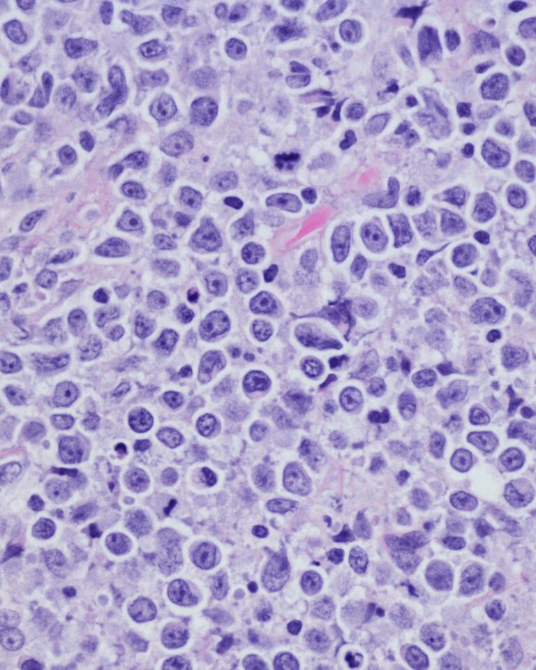¿Qué es exactamente el Microbioma Cutáneo?