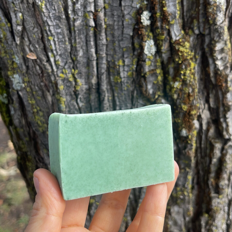 Jabón Aloe Vera - Espirulina