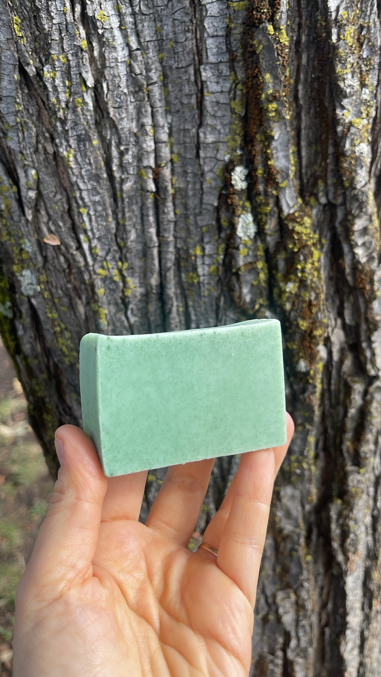 Jabón Aloe Vera - Espirulina